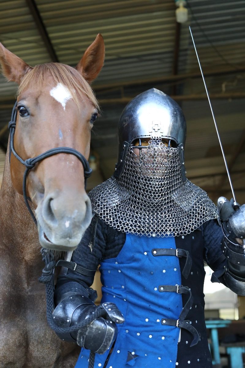 Photo of myself in medieval armor next to a horse